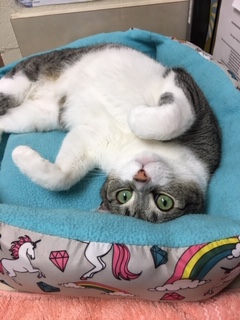 Profile for Hollywood