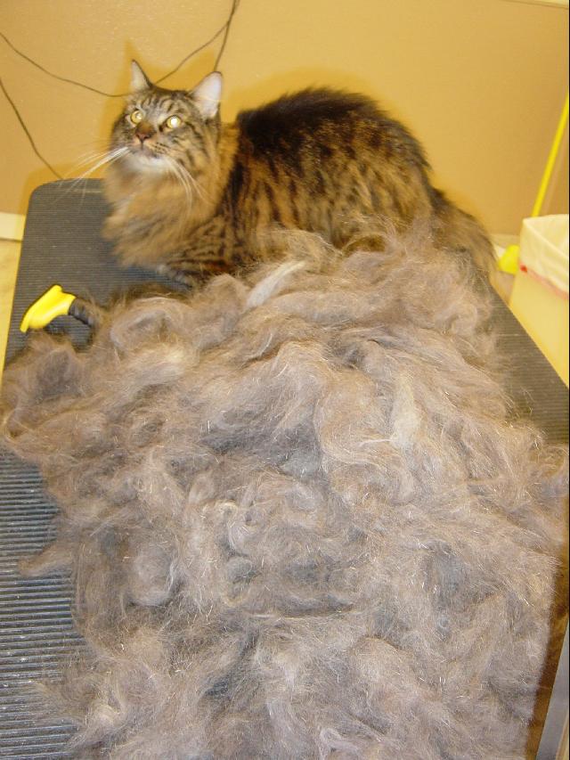 Furminator