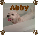 Abby