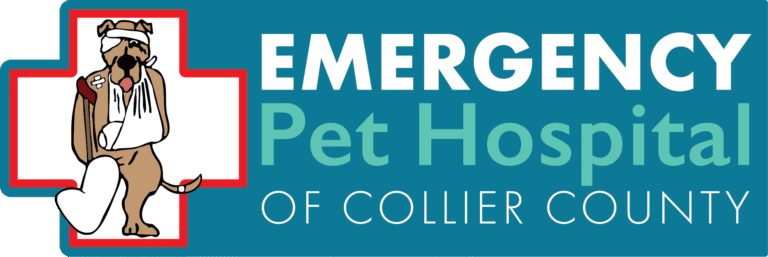 Emergency Pet Hospital