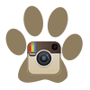 Instagram Icon