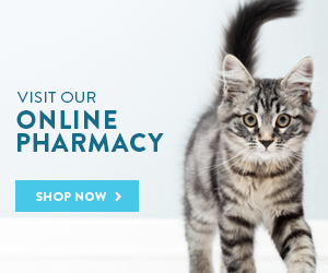 Online Pharmacy